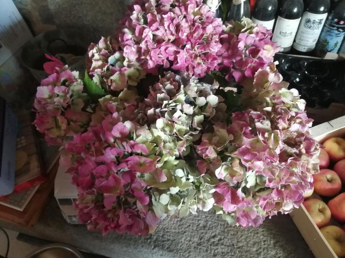 Gite Hydrangea Lanhelin ภายนอก รูปภาพ